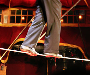 tightrope demystify suddenly strolling