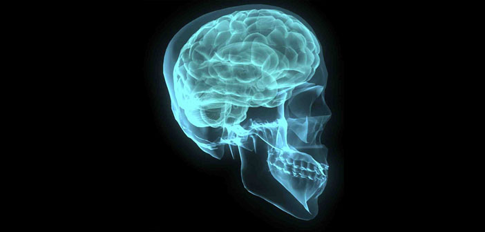 even-mild-traumatic-brain-injury-may-cause-brain-damage