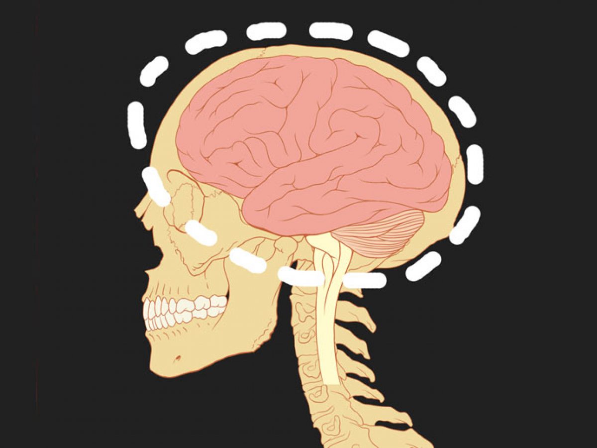 Download Analyzing Brain Patterns May Help Scientists Increase People S Confidence Reduce Fear Yellowimages Mockups