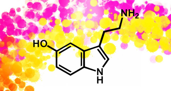 Серотонин картинки для презентации
