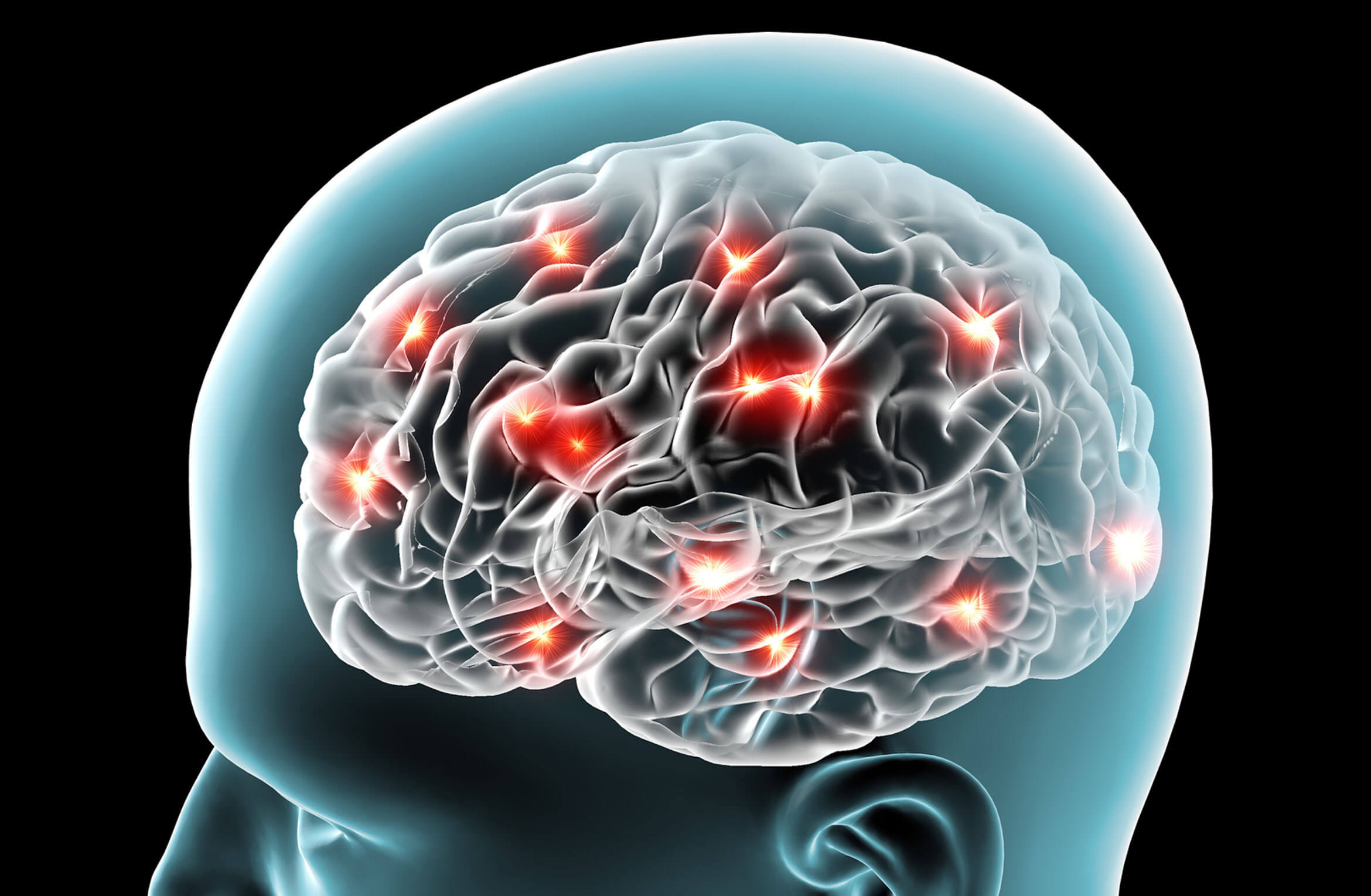 latest findings in research regarding neuroscience and brain development