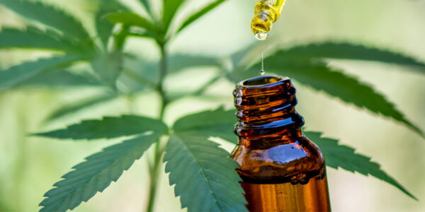 cannabidiol in treatment of autism spectrum disorder a case study