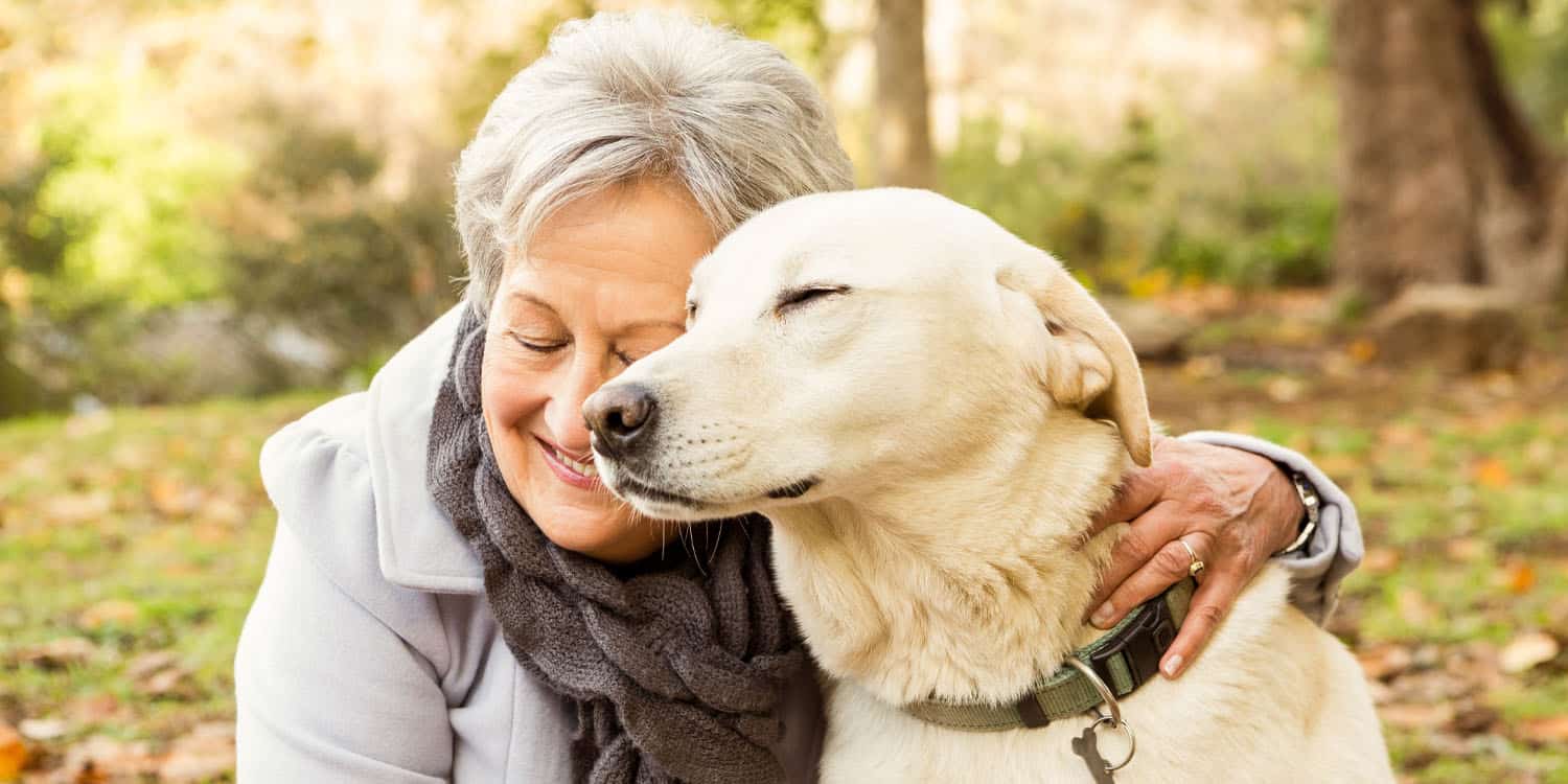 Pet ownership linked to slower rate of cognitive decline in older ...