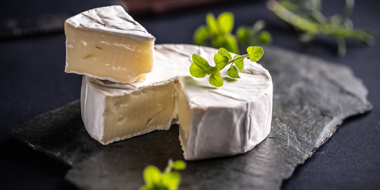 Study finds Camembert cheese compounds enhance reminiscence and studying